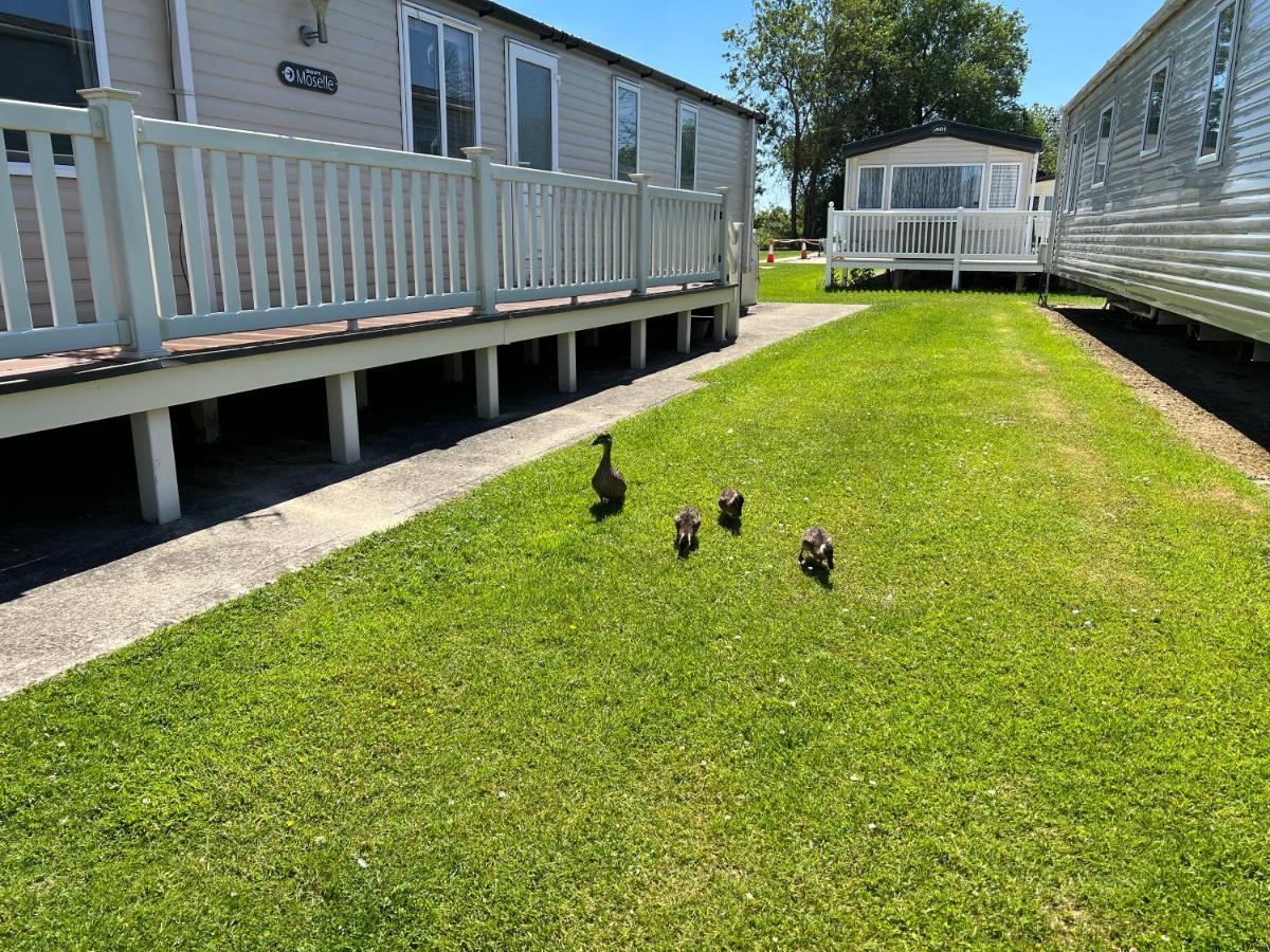Dragonfly Lodge South Cerney Esterno foto